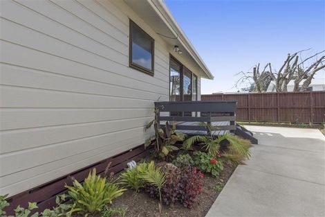 Photo of property in 393 Ngatai Road, Bellevue, Tauranga, 3110