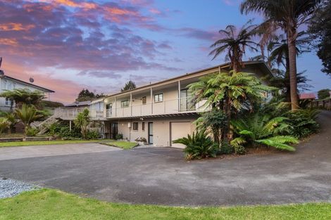 Photo of property in 1215 Cameron Road, Gate Pa, Tauranga, 3112