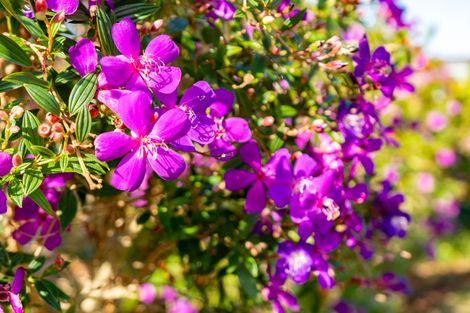 Photo of property in 9 Herons Lane, Mangawhai, 0505