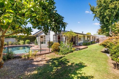 Photo of property in 50 Windsor Street, Terrace End, Palmerston North, 4410