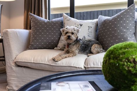 Photo of property in 4/67 Brockworth Place, Riccarton, Christchurch, 8011