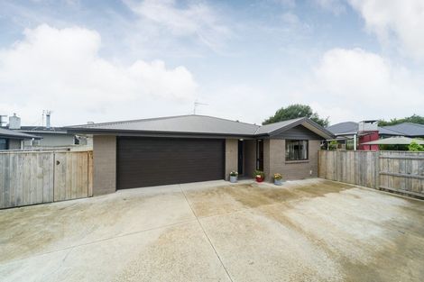 Photo of property in 97a Awahuri Road, Feilding, 4702