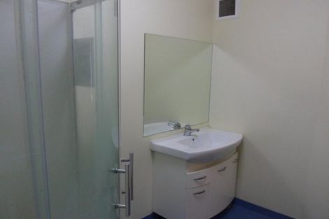 Photo of property in Basin Reserve Complex, 47/4 Sussex Street, Mount Cook, Wellington, 6021