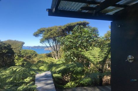 Photo of property in 455 Tuateawa Road, Tuateawa, Coromandel, 3583