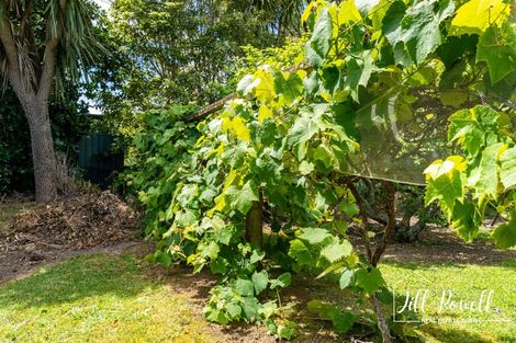 Photo of property in 93c Jumna Road, Maungaturoto, 0587