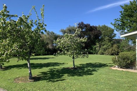 Photo of property in 159 Regent Street, Martinborough, 5711