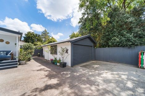 Photo of property in 105b Pahiatua Street, Hokowhitu, Palmerston North, 4410