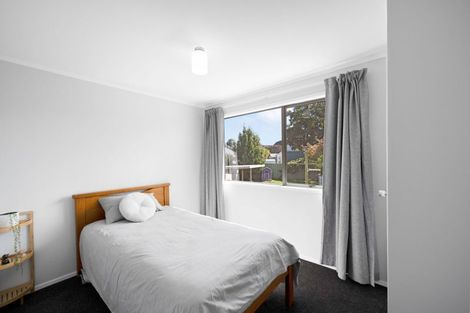 Photo of property in 12 Hibiscus Avenue, Hamilton Lake, Hamilton, 3204