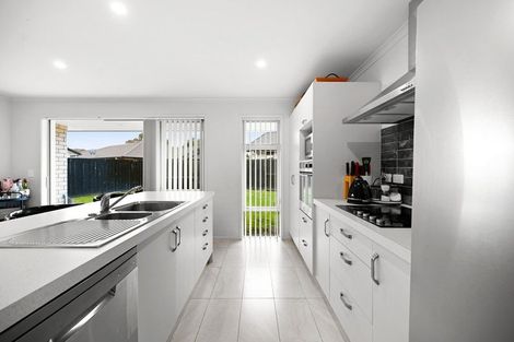 Photo of property in 19 Ladeira Place, Fitzroy, Hamilton, 3206