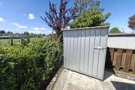 Photo of property in 25 Caernarvon Street, Dinsdale, Hamilton, 3204