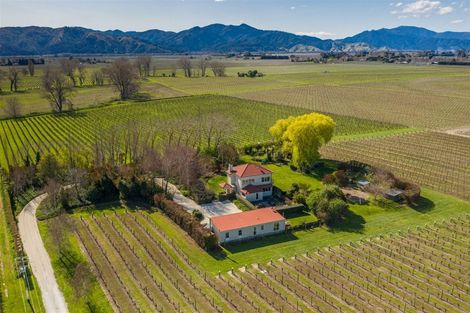 Photo of property in 115 Matthews Lane, Rapaura, Blenheim, 7273