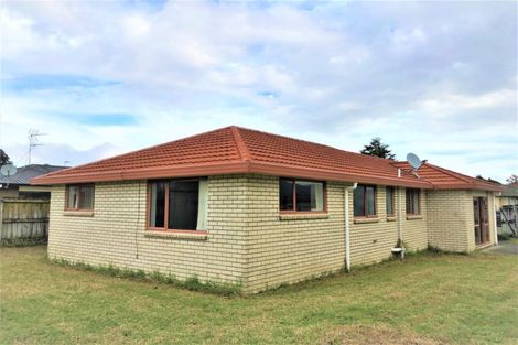 Photo of property in 17 Marblewood Grove, Pukekohe, 2120