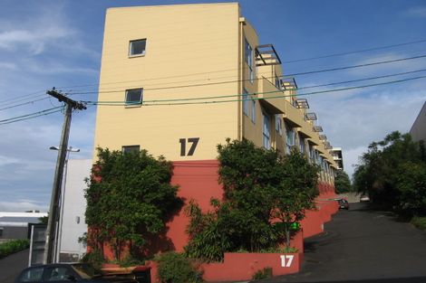 Photo of property in 1/17 Auburn Street, Grafton, Auckland, 1023