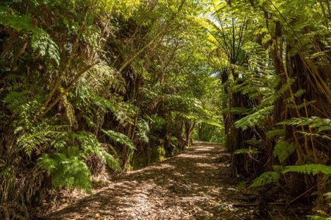 Photo of property in 672 Moetapu Bay Road, Moetapu Bay, Picton, 7282