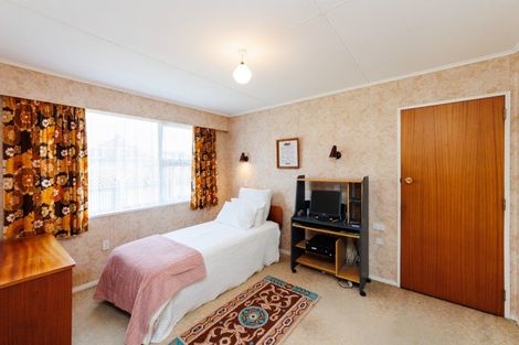 Photo of property in 17 Blenheim Place, Feilding, 4702