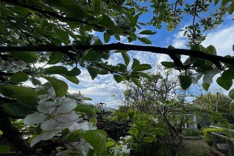 Photo of property in 78 Corson Avenue, Beckenham, Christchurch, 8023