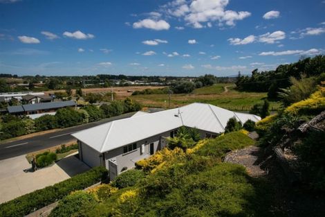 Photo of property in 2a Queen Street, Cambridge, 3434