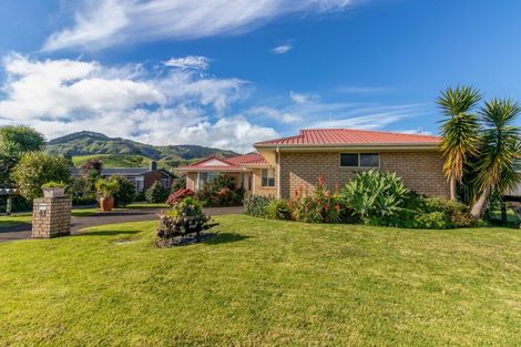 Photo of property in 43 Thames Road, Paeroa, 3600