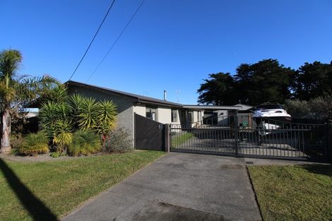 Photo of property in 60 Nash Parade, Foxton Beach, Foxton, 4815