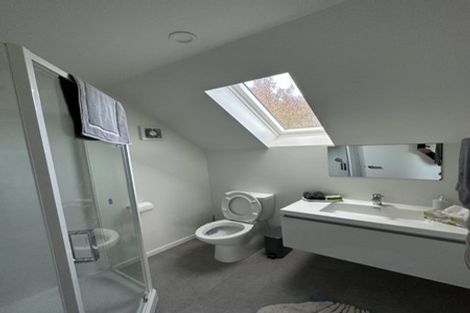 Photo of property in 17 Shearer Avenue, Papanui, Christchurch, 8052