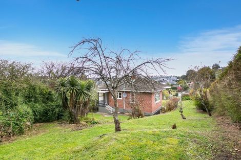 Photo of property in 51 Craighall Crescent, Wakari, Dunedin, 9010