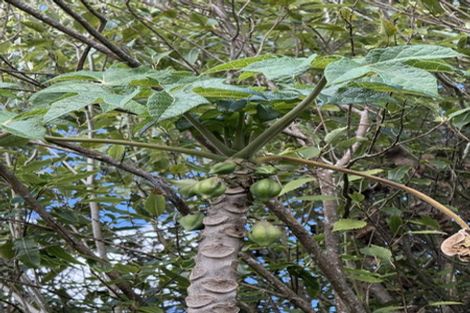 Photo of property in 126 Oneriri Road, Kaiwaka, 0573