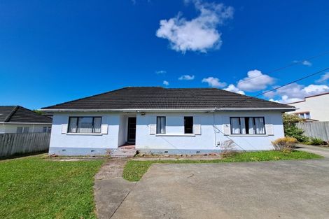 Photo of property in 88 Nikau Street, New Lynn, Auckland, 0600