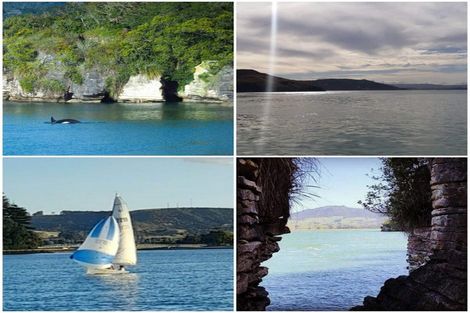 Photo of property in 579 Te Akau Wharf Road, Te Akau, Ngaruawahia, 3793