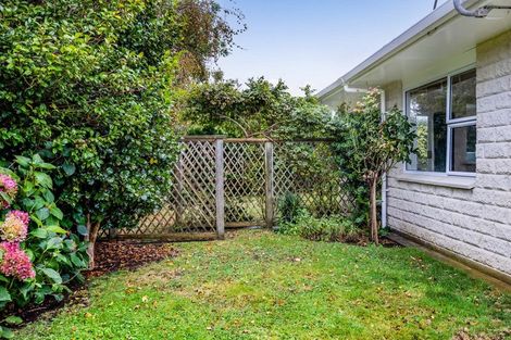 Photo of property in 41c Disraeli Street, Hawera, 4610