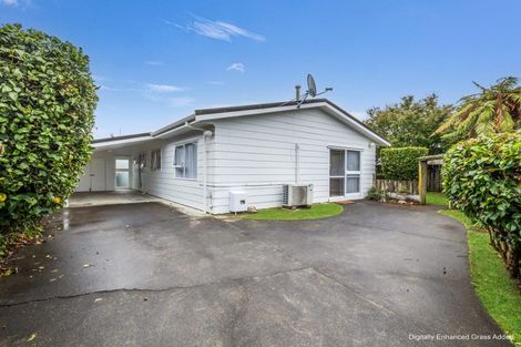 Photo of property in 38a Saint Annes Street, Levin, 5510