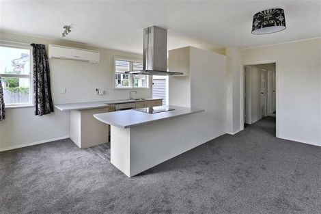 Photo of property in 121a Elizabeth Street, Riccarton, Christchurch, 8041