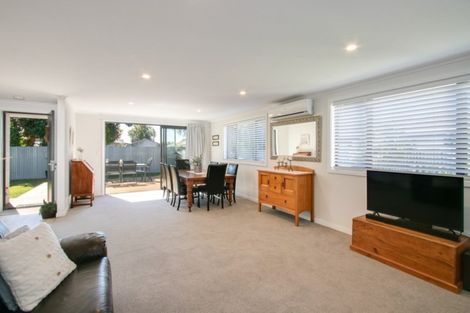 Photo of property in 1029a Waipuna Street, Mahora, Hastings, 4120