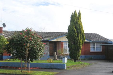 Photo of property in 21 Patrick Place, Fitzroy, Hamilton, 3206