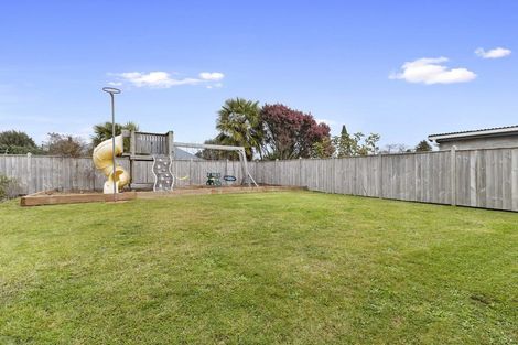 Photo of property in 12 Terrace Street, Putaruru, 3411