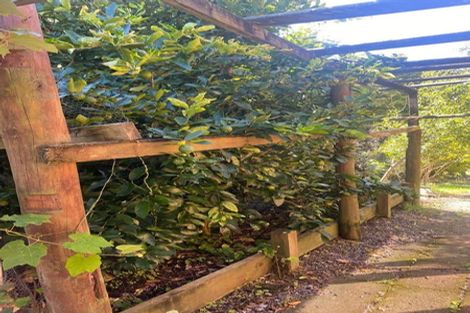 Photo of property in 10 Wheaton Place, Glen Eden, Auckland, 0602