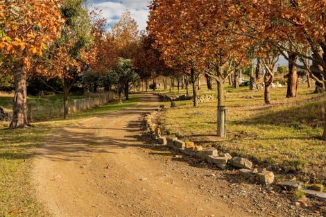 Photo of property in 268 Maskells Road, Balcairn, Amberley, 7481