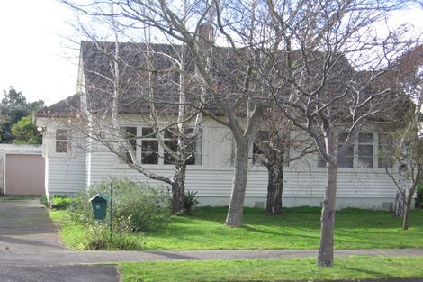 Photo of property in 45 Ihle Street, Terrace End, Palmerston North, 4410