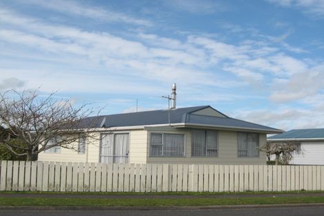 Photo of property in 14 Exeter Street, Stratford, 4332