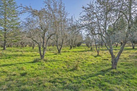 Photo of property in 297 Loburn Whiterock Road, Loburn, Rangiora, 7472