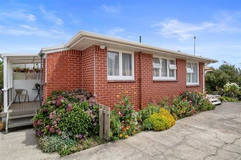 Photo of property in 141 Tirau Street, Putaruru, 3411