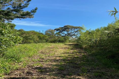 Photo of property in 463 Henderson Bay Road, Houhora, Pukenui, 0484