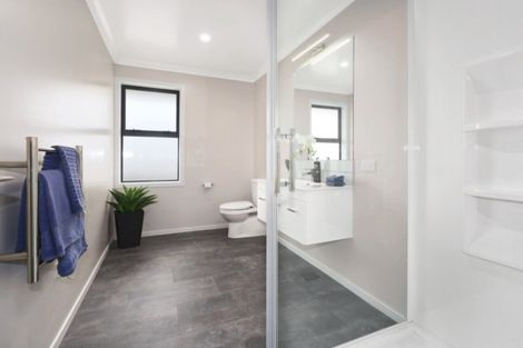 Photo of property in 169 John Burke Drive, Aotea, Porirua, 5024