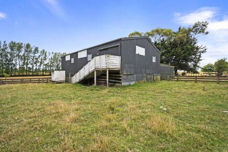 Photo of property in 373 Colyton Road, Colyton, Feilding, 4775