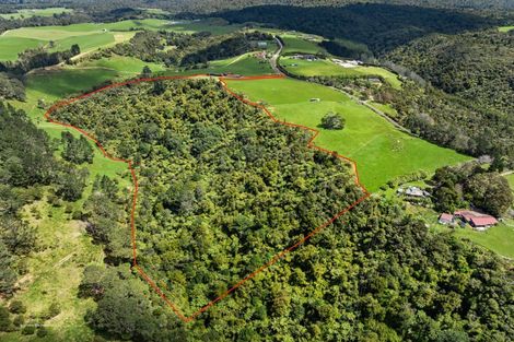 Photo of property in 677 Work Road, Whakamarama, Katikati, 3181