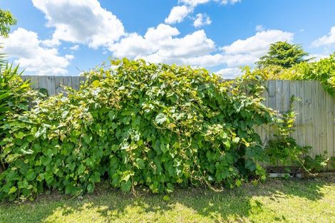 Photo of property in 114 Rosser Street, Huntly, 3700