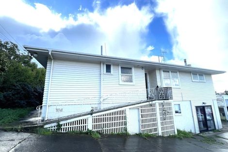 Photo of property in 100 Oakdale Road, Mount Roskill, Auckland, 1041