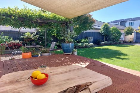 Photo of property in 44 Plunket Street, Spreydon, Christchurch, 8024