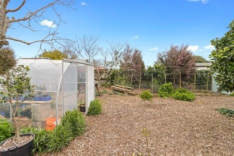 Photo of property in 31 Rawlings Street, Bader, Hamilton, 3206