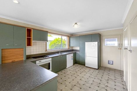 Photo of property in 259 Talbot Street, Hargest, Invercargill, 9810