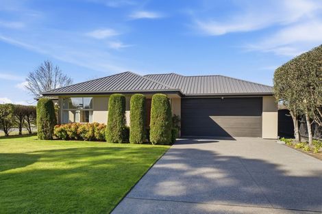 Photo of property in 29 Saracen Avenue, Northwood, Christchurch, 8051